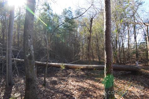 5036 Hermitage Court Belmont NC 28012