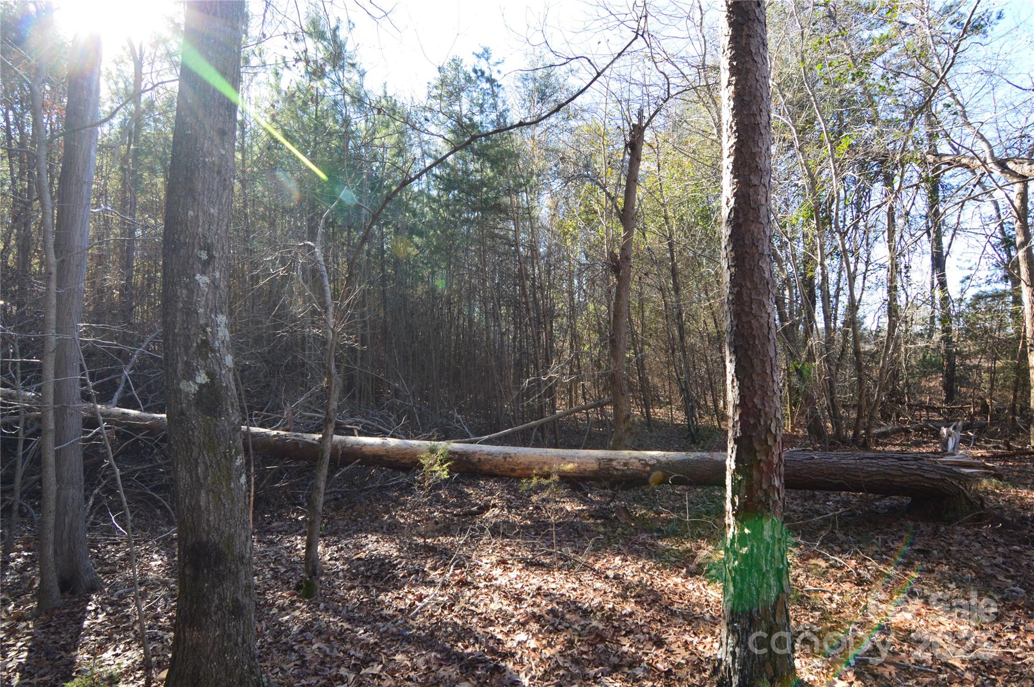 5036 Hermitage Court Belmont NC 28012