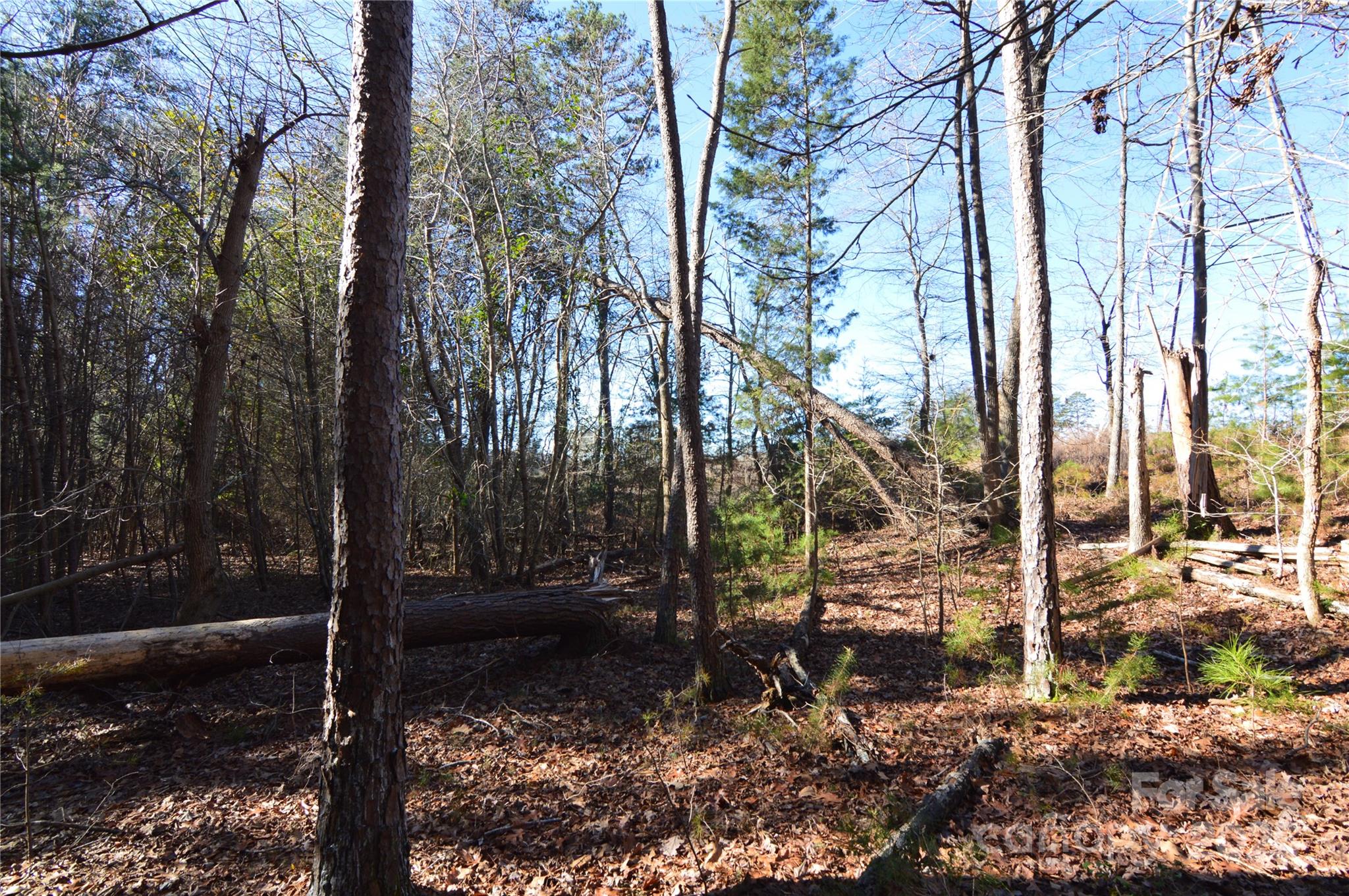 5036 Hermitage Court Belmont NC 28012