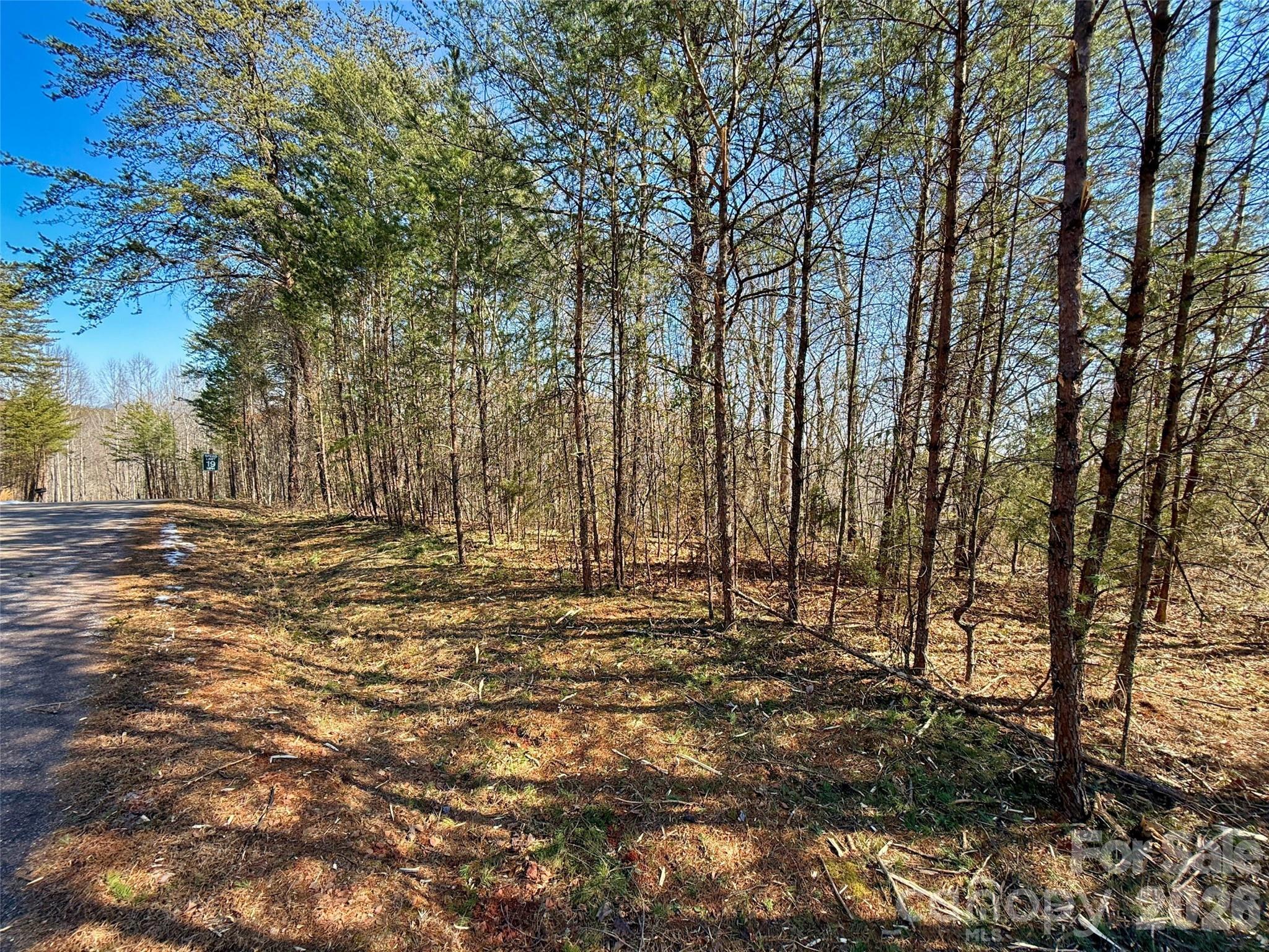Lots 79 80 100 Westridge Drive Lake Lure NC 28746