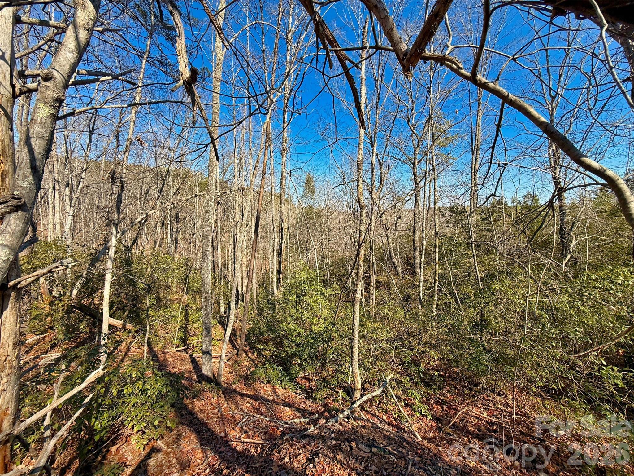 Lots 79 80 100 Westridge Drive Lake Lure NC 28746