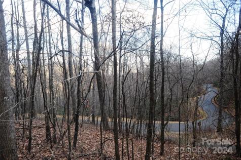 54 Great Aspen Way Black Mountain NC 28711
