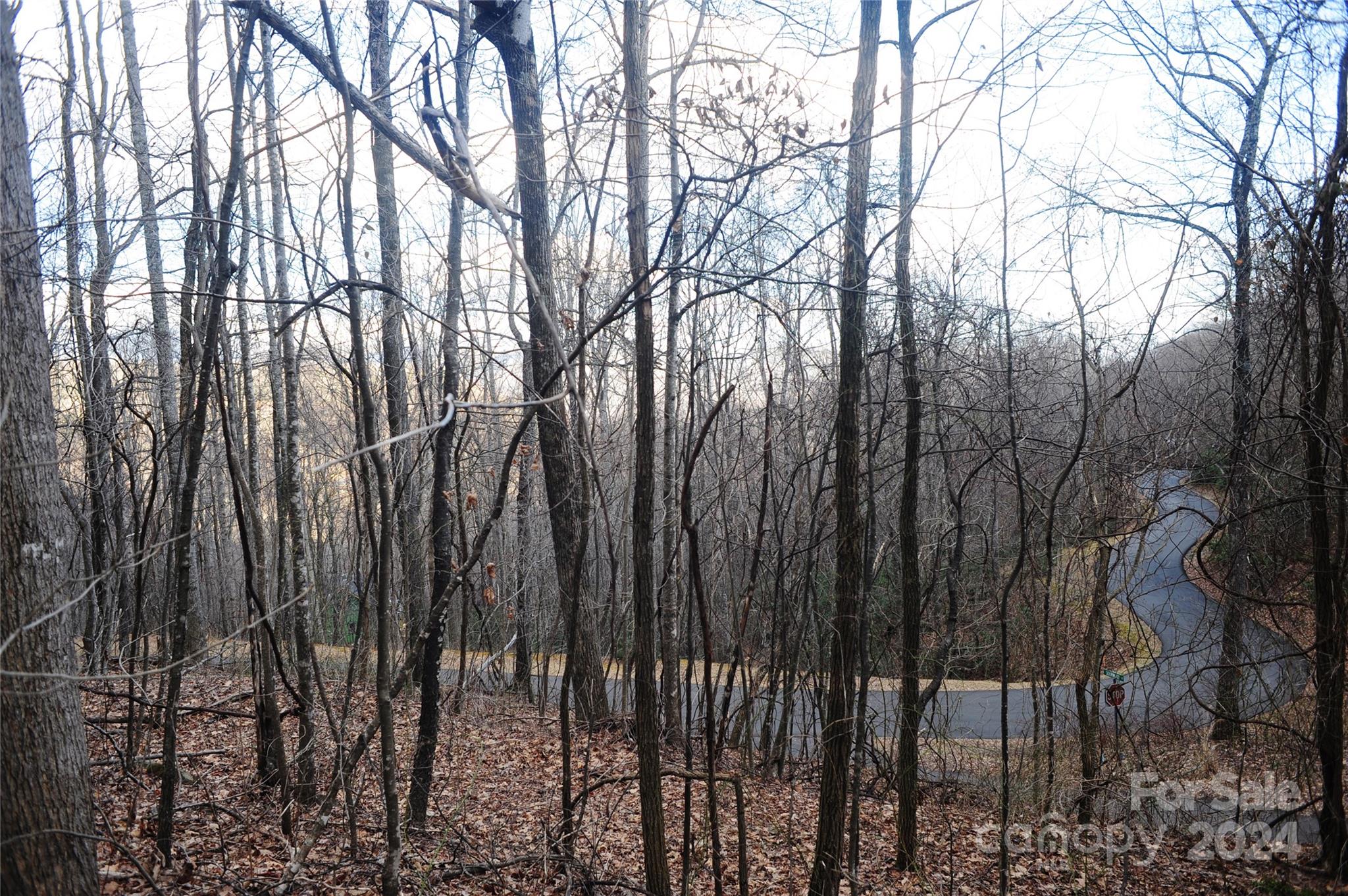 54 Great Aspen Way Black Mountain NC 28711