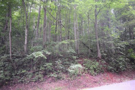 54 Great Aspen Way Black Mountain NC 28711