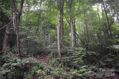 54 Great Aspen Way Black Mountain NC 28711