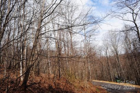 54 Great Aspen Way Black Mountain NC 28711