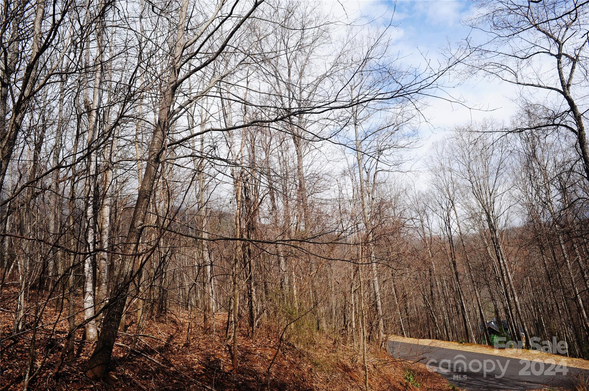 54 Great Aspen Way Black Mountain NC 28711