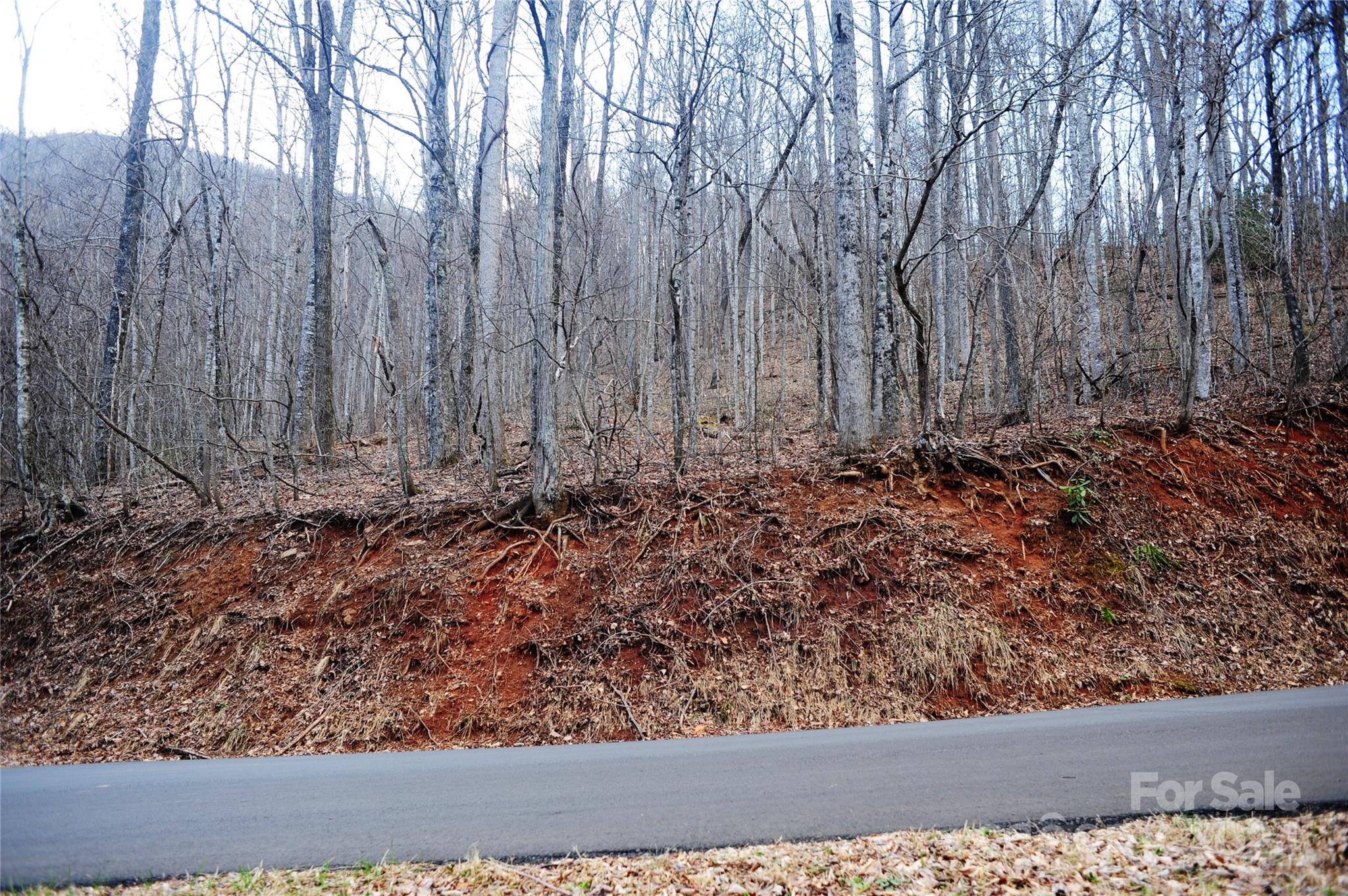 54 Great Aspen Way Black Mountain NC 28711