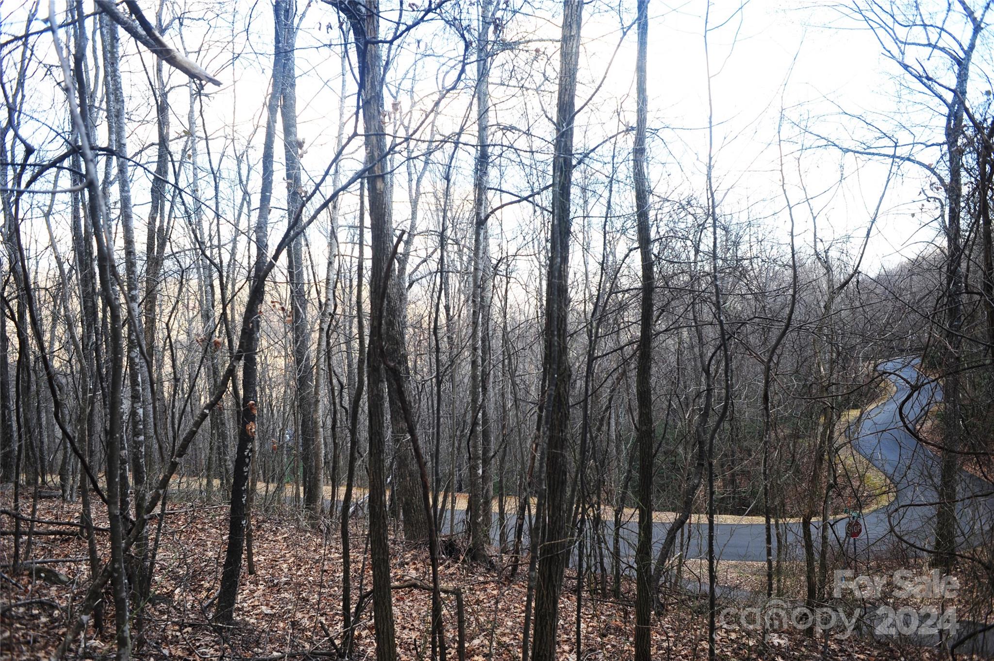 54 Great Aspen Way Black Mountain NC 28711