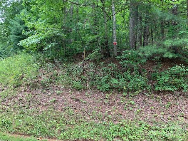 Lot 49-50 Mckenzie Way S Old Fort NC 28762