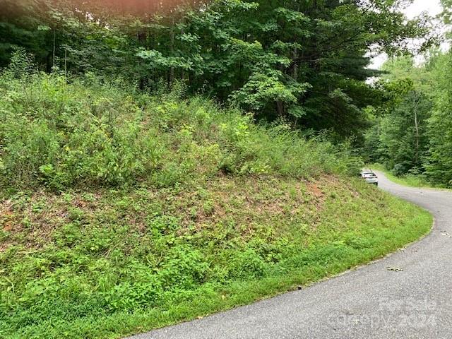 Lot 49-50 Mckenzie Way S Old Fort NC 28762