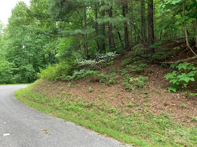 Lot 49-50 Mckenzie Way S Old Fort NC 28762