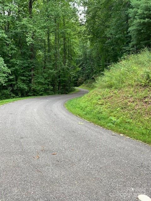 Lot 49-50 Mckenzie Way S Old Fort NC 28762