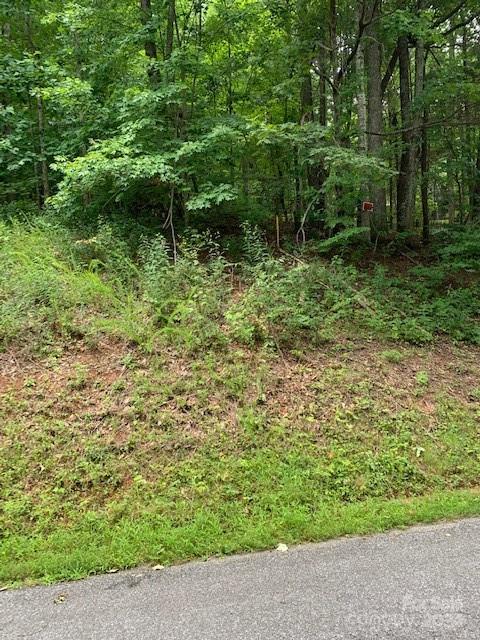 Lot 49-50 Mckenzie Way S Old Fort NC 28762