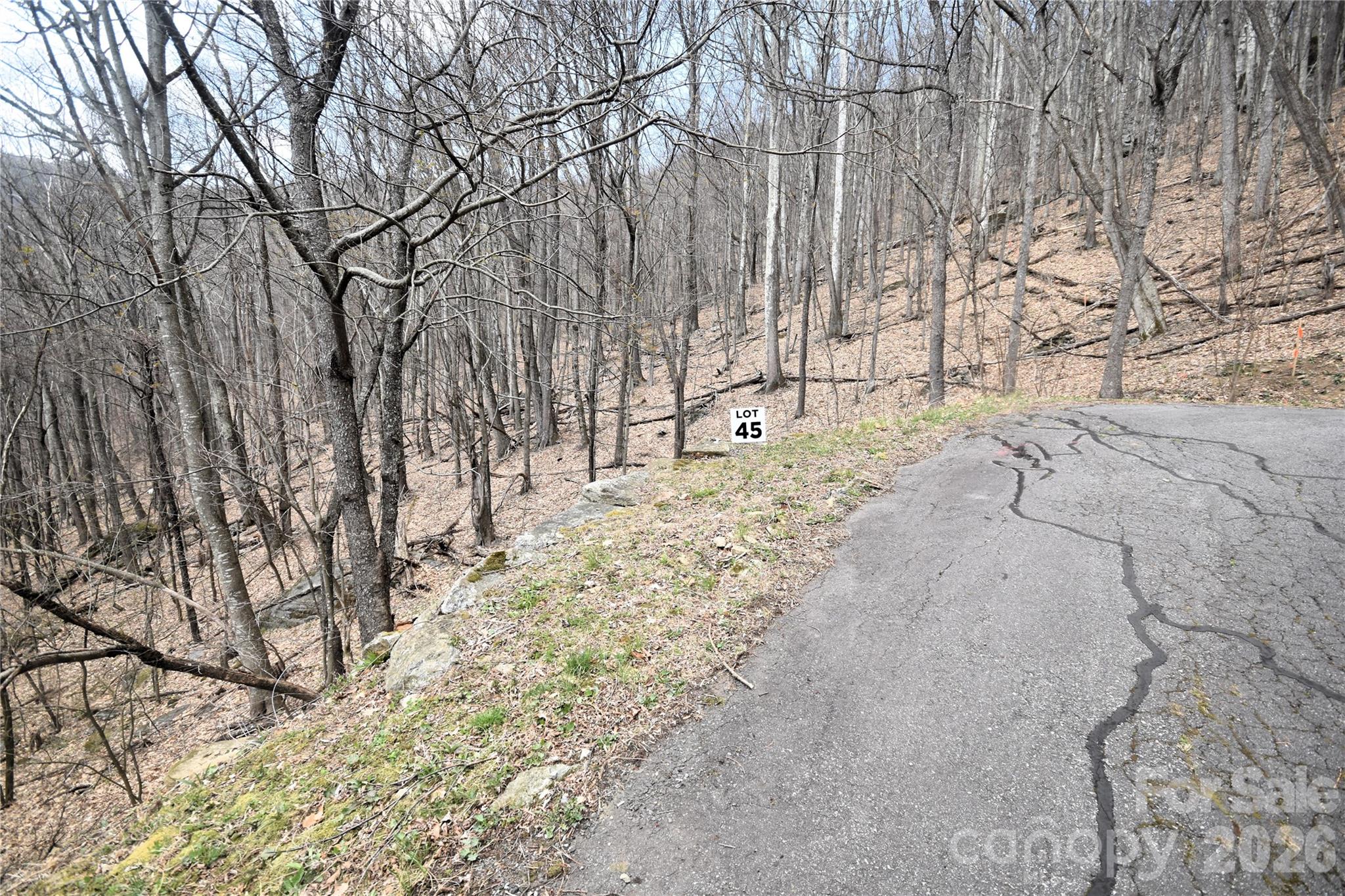 45 Prosperity Ridge Waynesville NC 28785