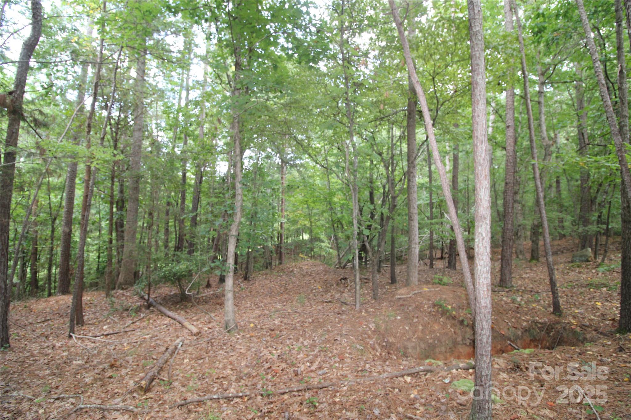 Lot 3 Lake Wylie Drive Rock Hill SC 29732