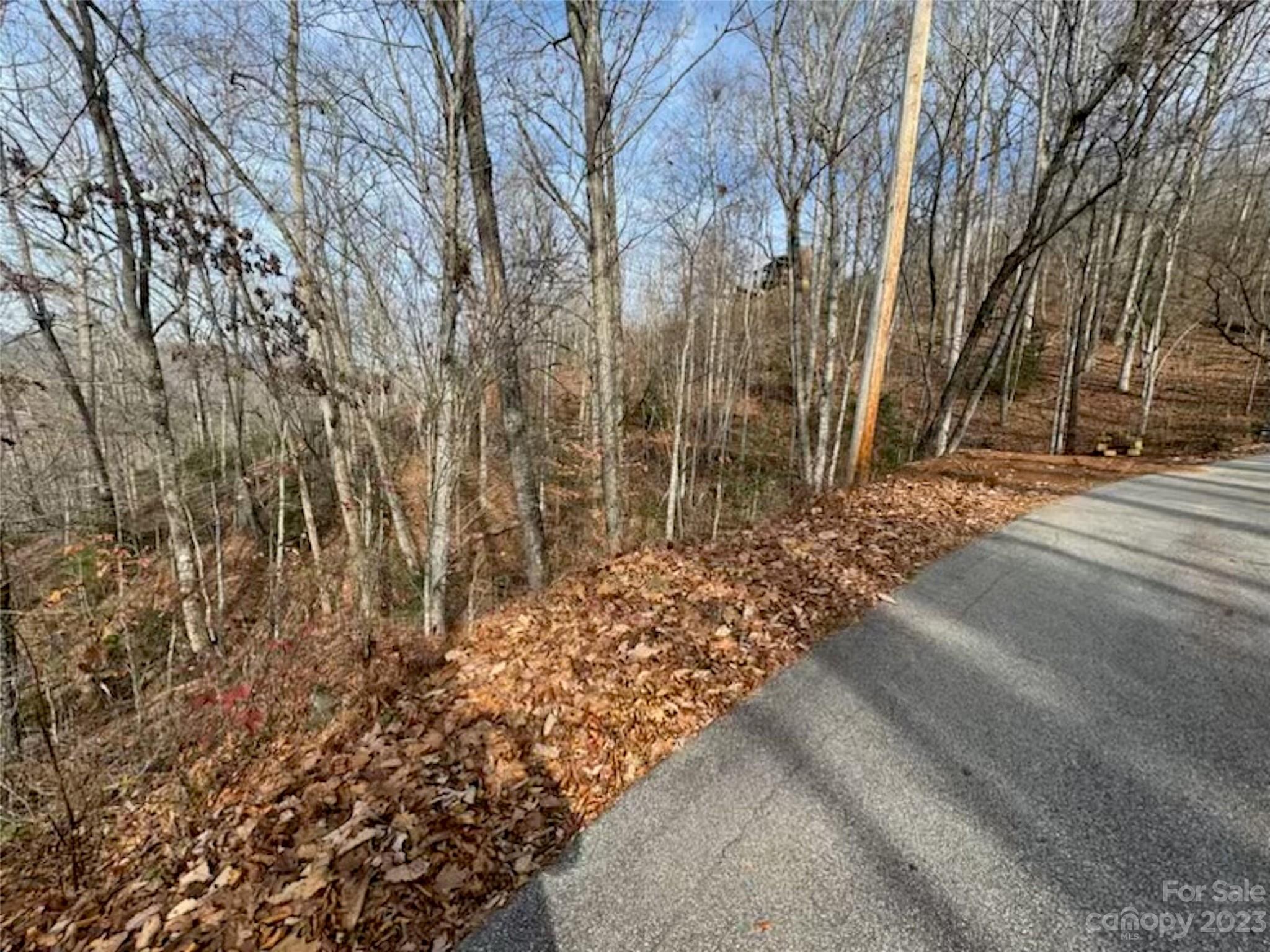 Lot 17 Franklin Farm Road Franklin NC 28734