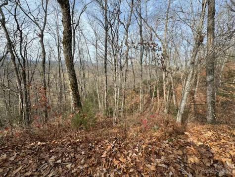 Lot 17 Franklin Farm Road Franklin NC 28734