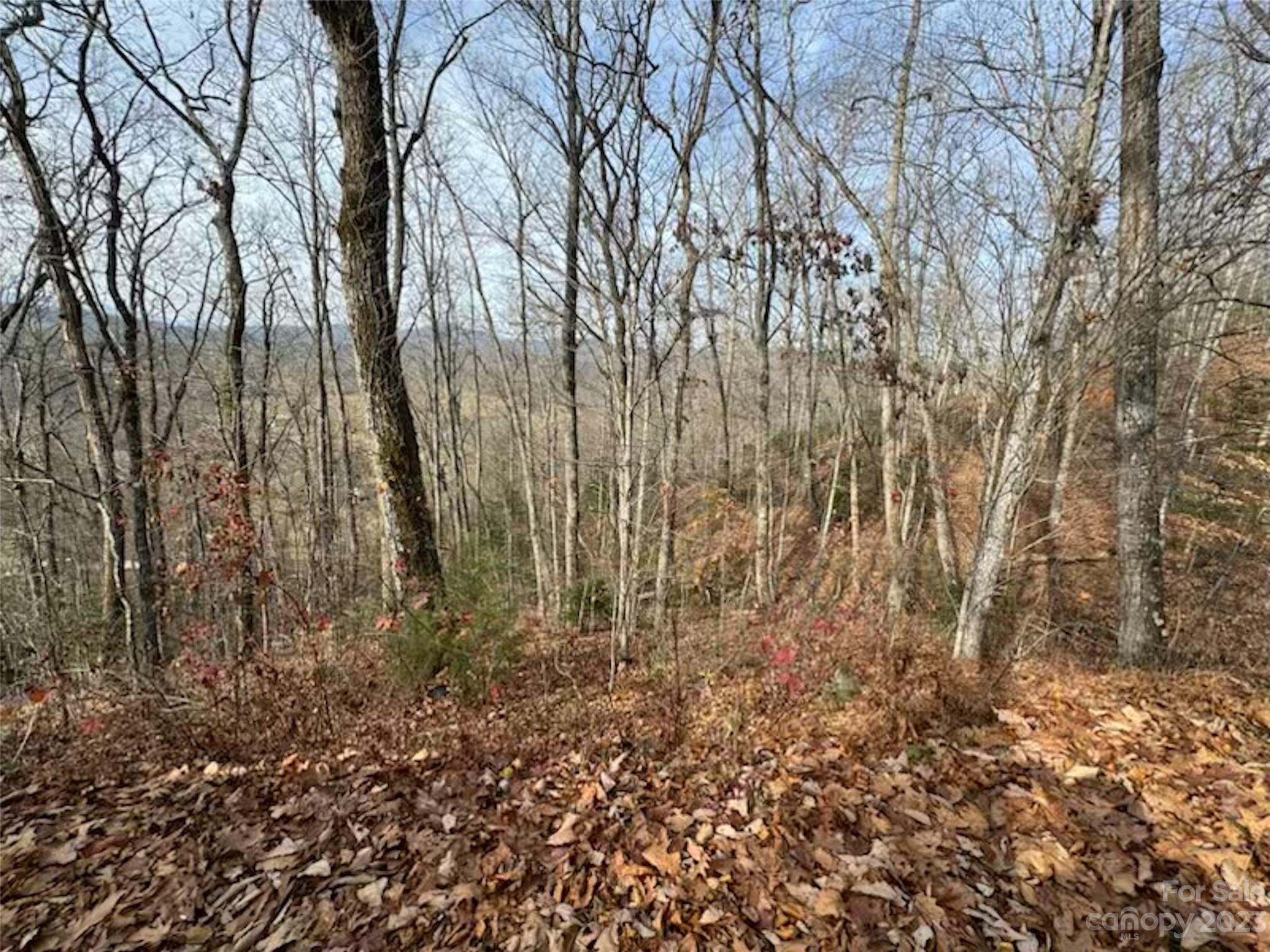 Lot 17 Franklin Farm Road Franklin NC 28734