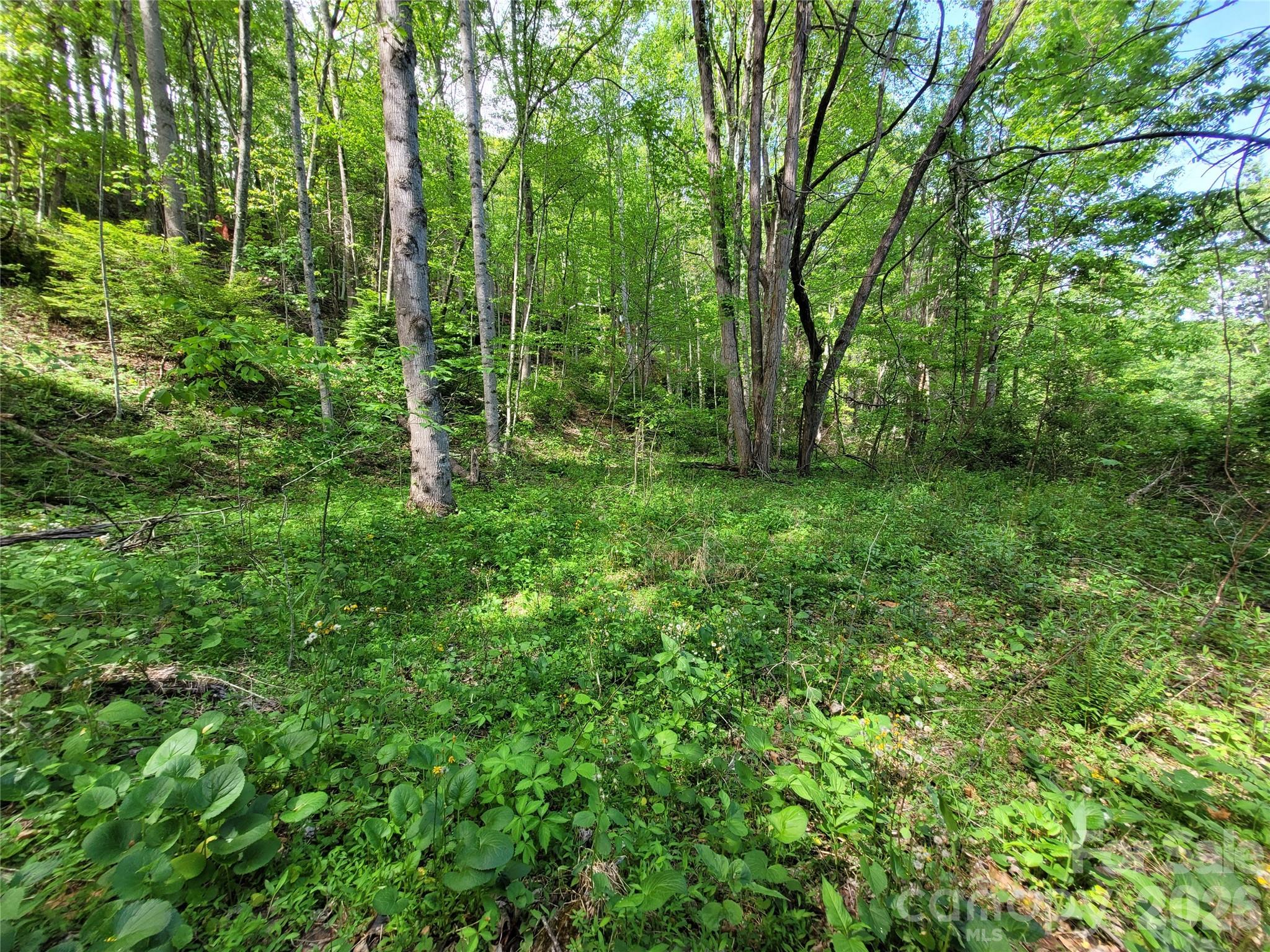 00 Fox Run Road Waynesville NC 28785