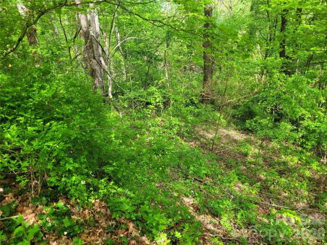 00 Fox Run Road Waynesville NC 28785