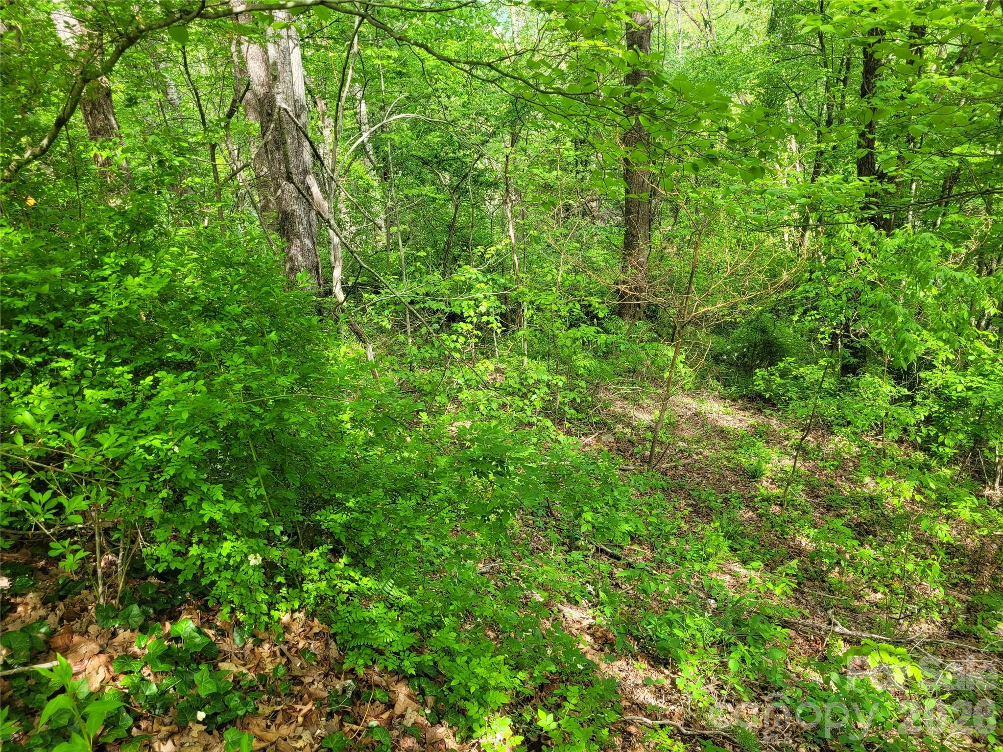 00 Fox Run Road Waynesville NC 28785