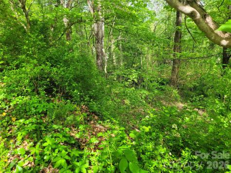00 Fox Run Road Waynesville NC 28785