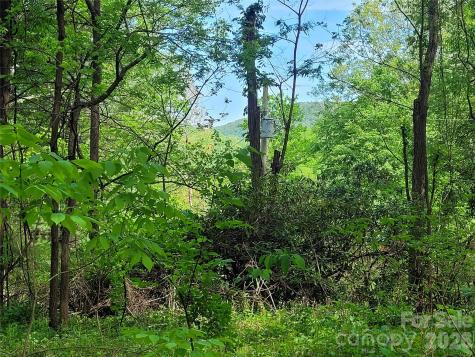 00 Fox Run Road Waynesville NC 28785