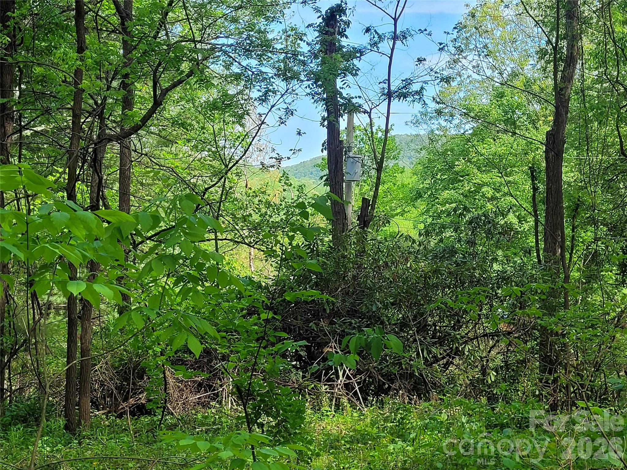 00 Fox Run Road Waynesville NC 28785