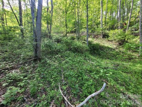 00 Fox Run Road Waynesville NC 28785
