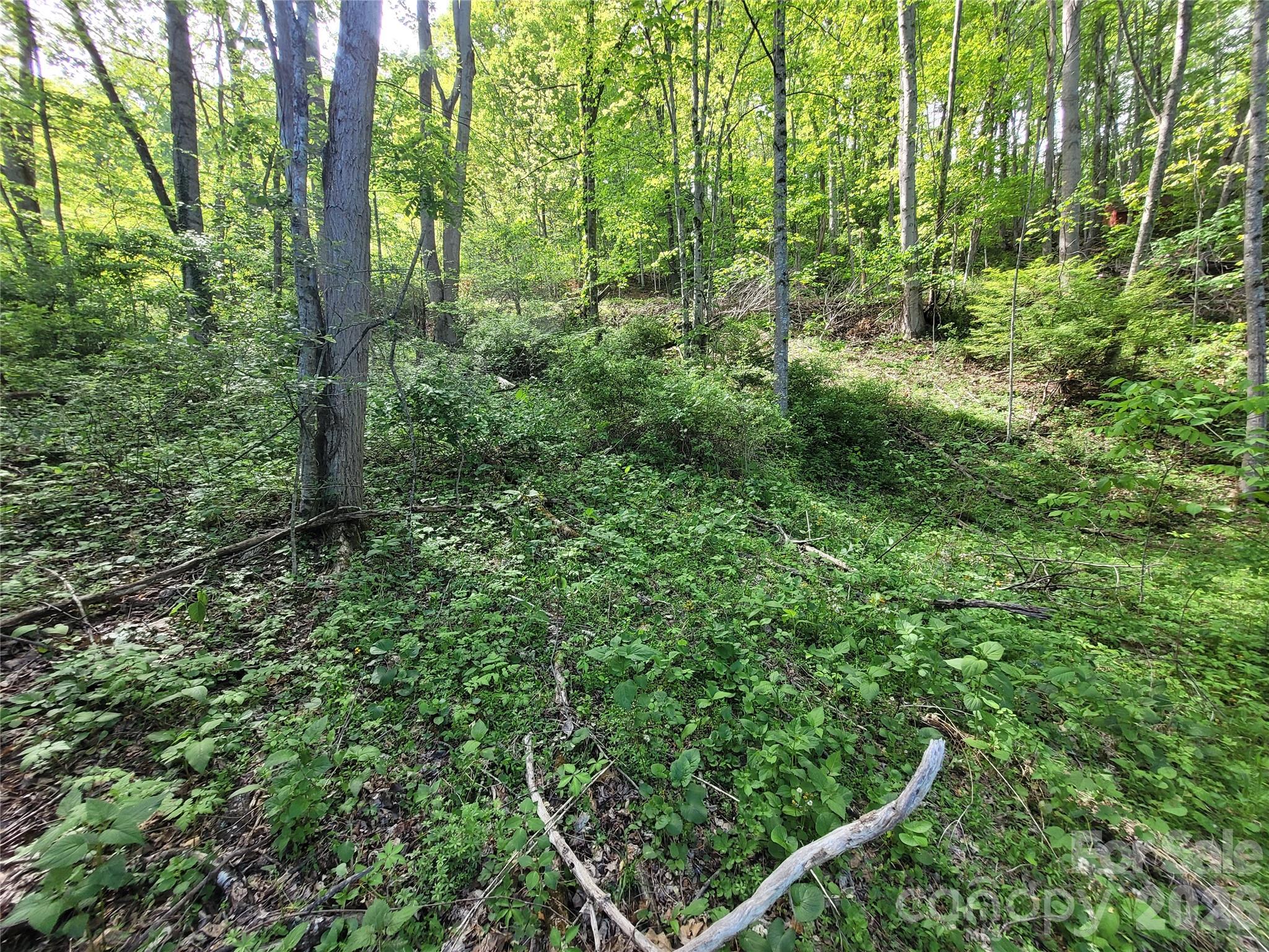 00 Fox Run Road Waynesville NC 28785