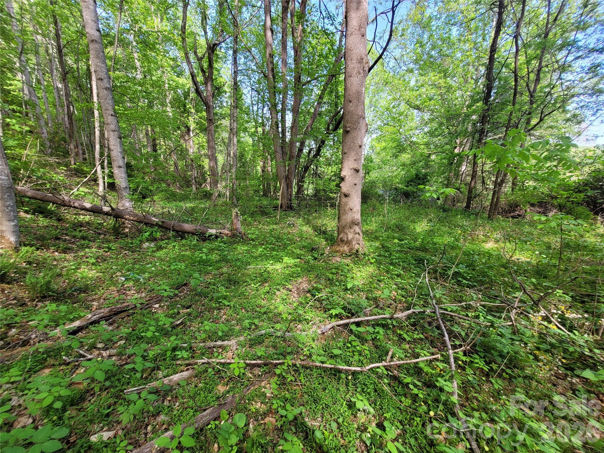 00 Fox Run Road Waynesville NC 28785