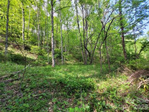 00 Fox Run Road Waynesville NC 28785