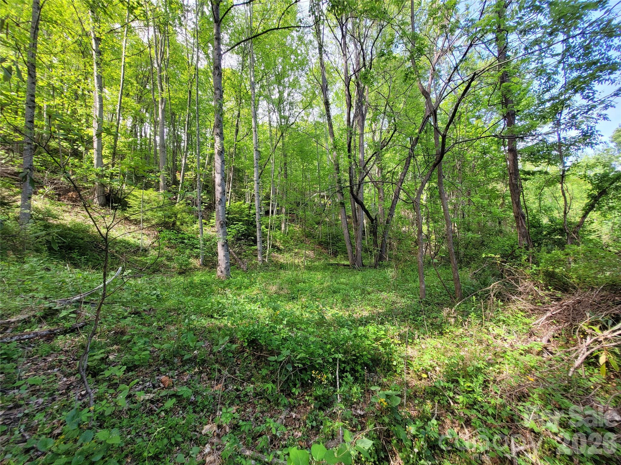 00 Fox Run Road Waynesville NC 28785