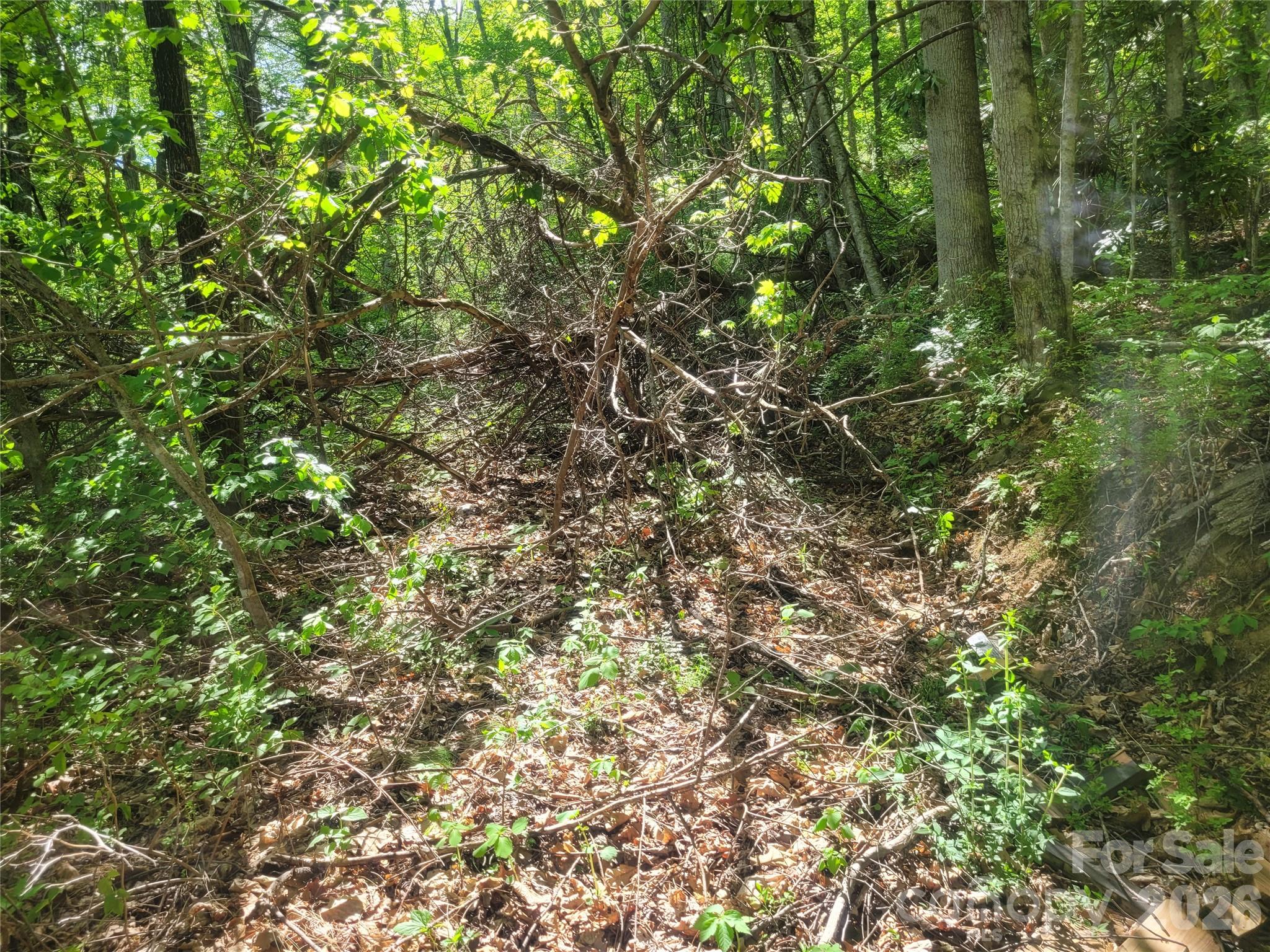 00 Fox Run Road Waynesville NC 28785