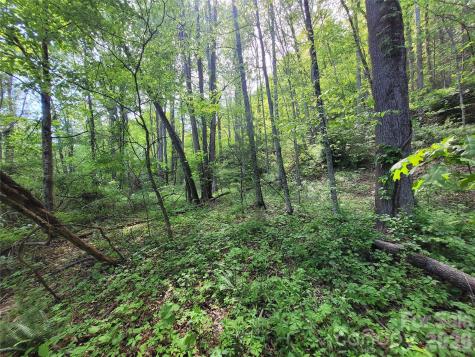 00 Fox Run Road Waynesville NC 28785