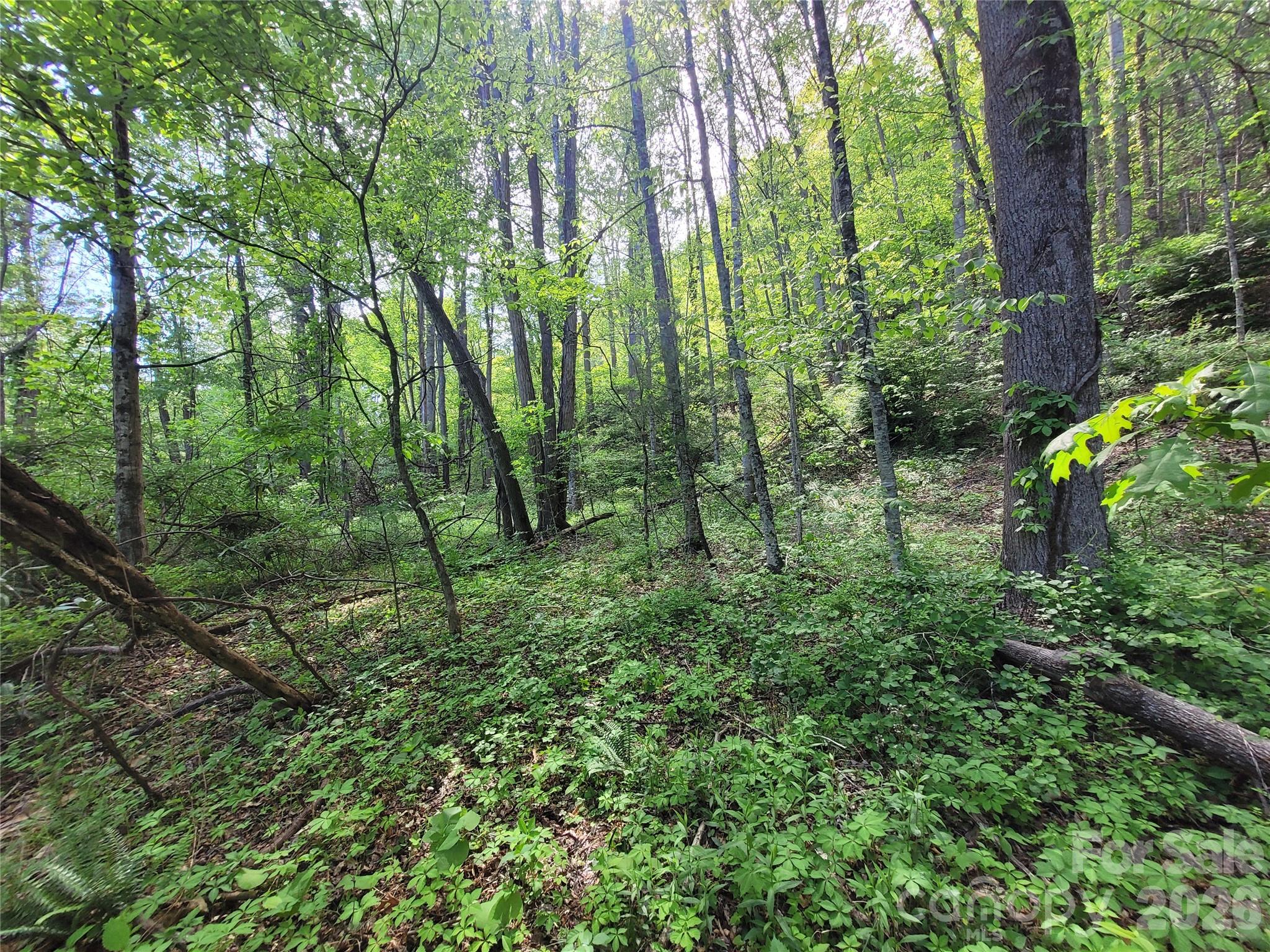 00 Fox Run Road Waynesville NC 28785
