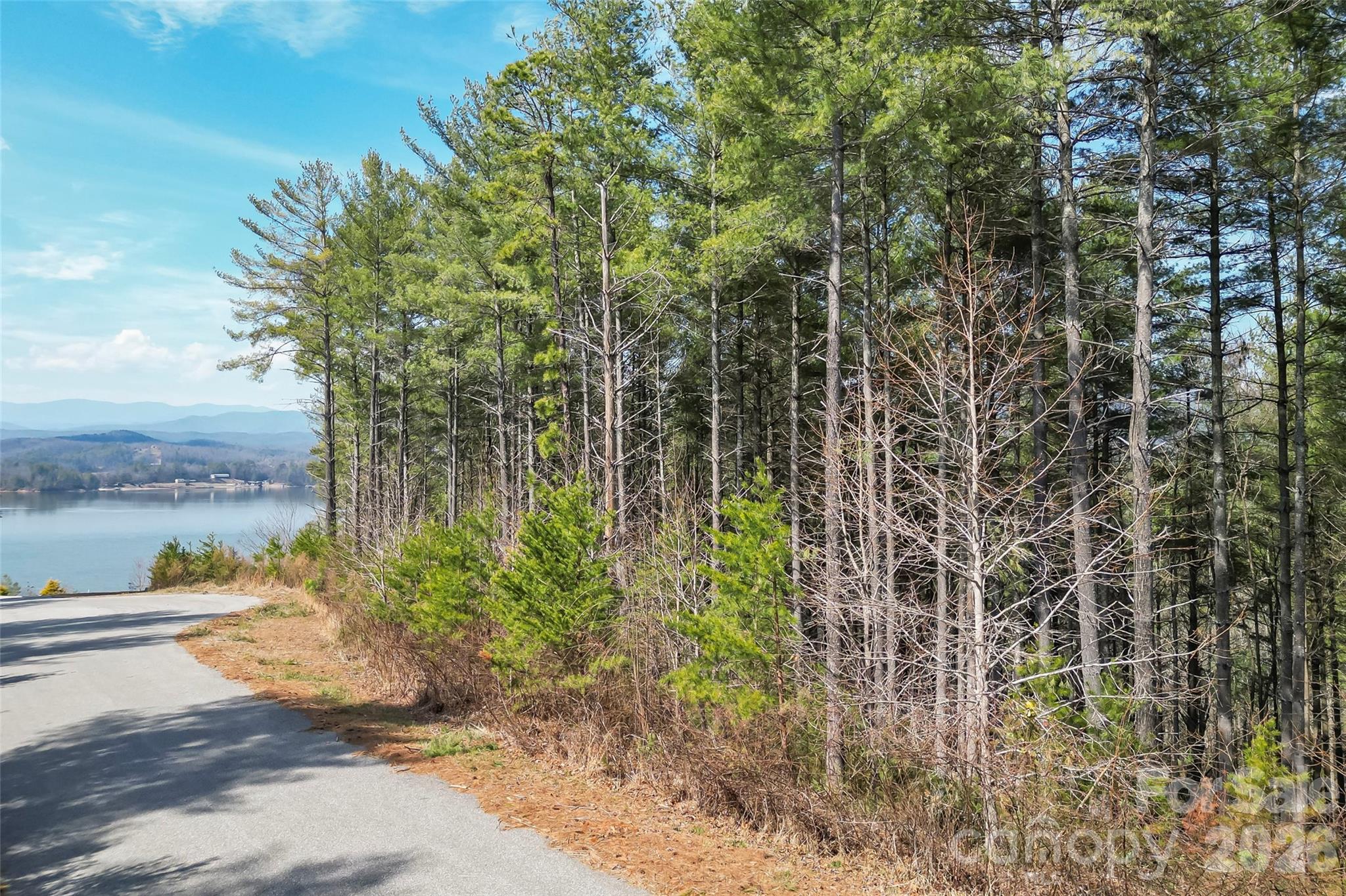 154 West Point Drive Nebo NC 28761