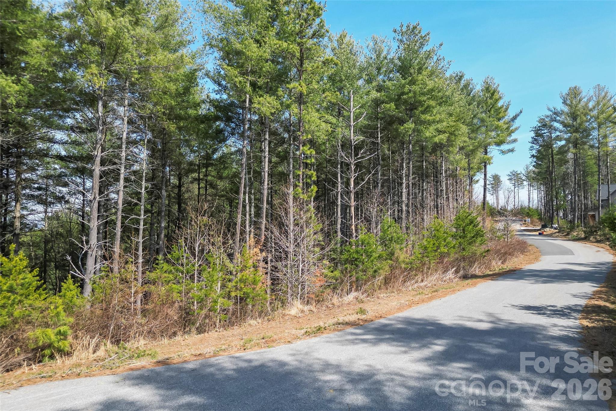 154 West Point Drive Nebo NC 28761