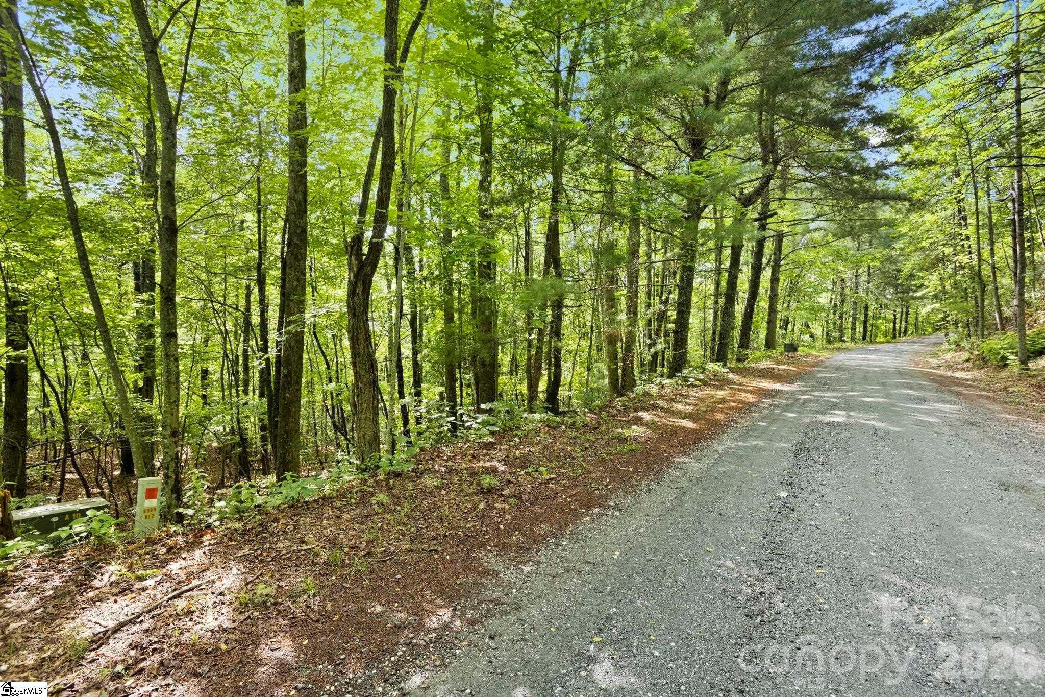 430 N Lakeview Drive Tryon NC 28773