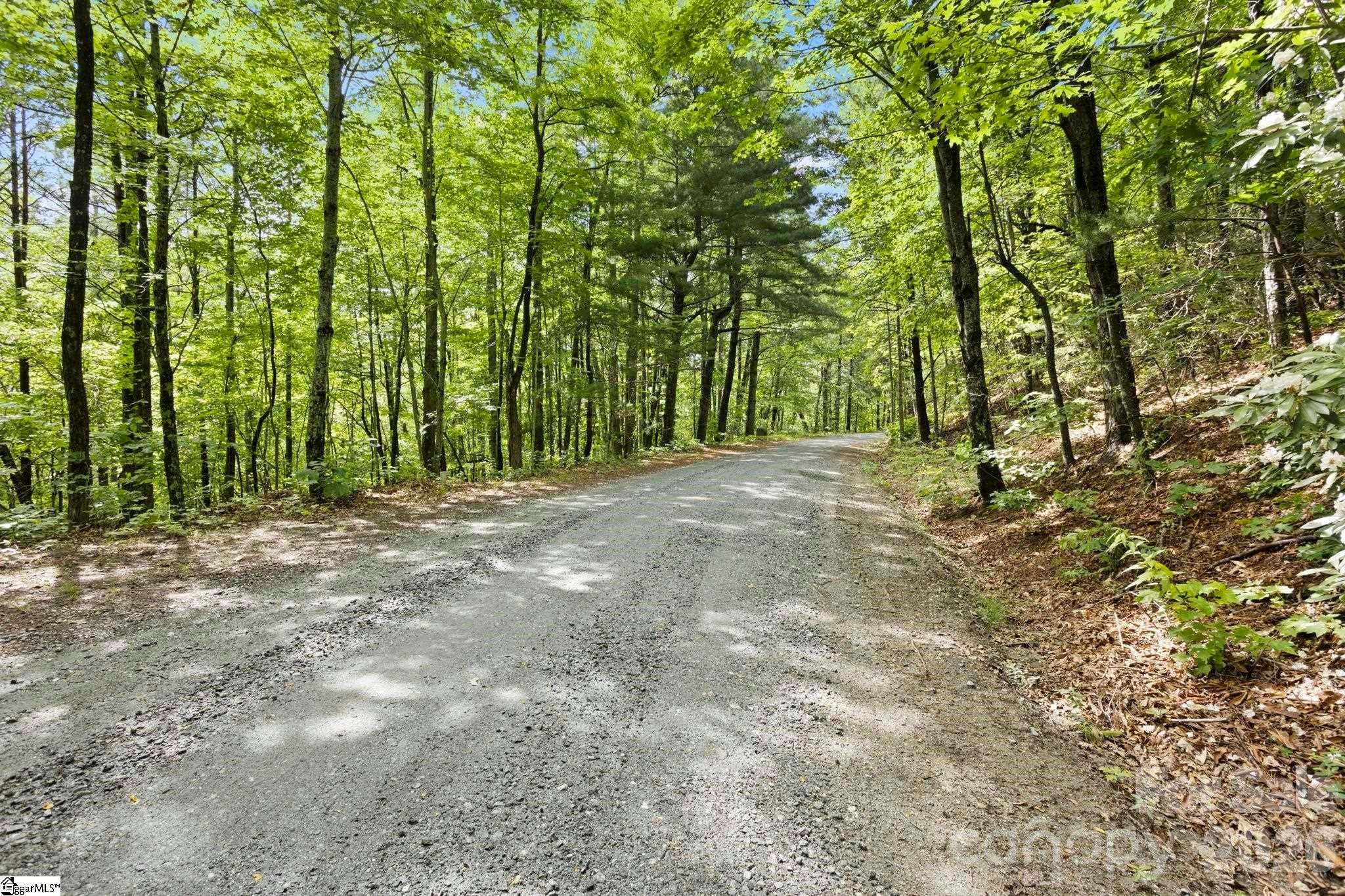 430 N Lakeview Drive Tryon NC 28773