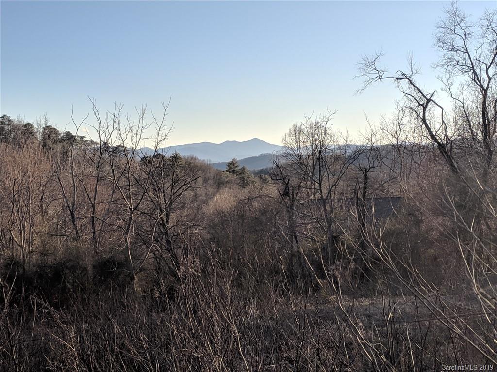 140 Baird Cove Lane Asheville NC 28804