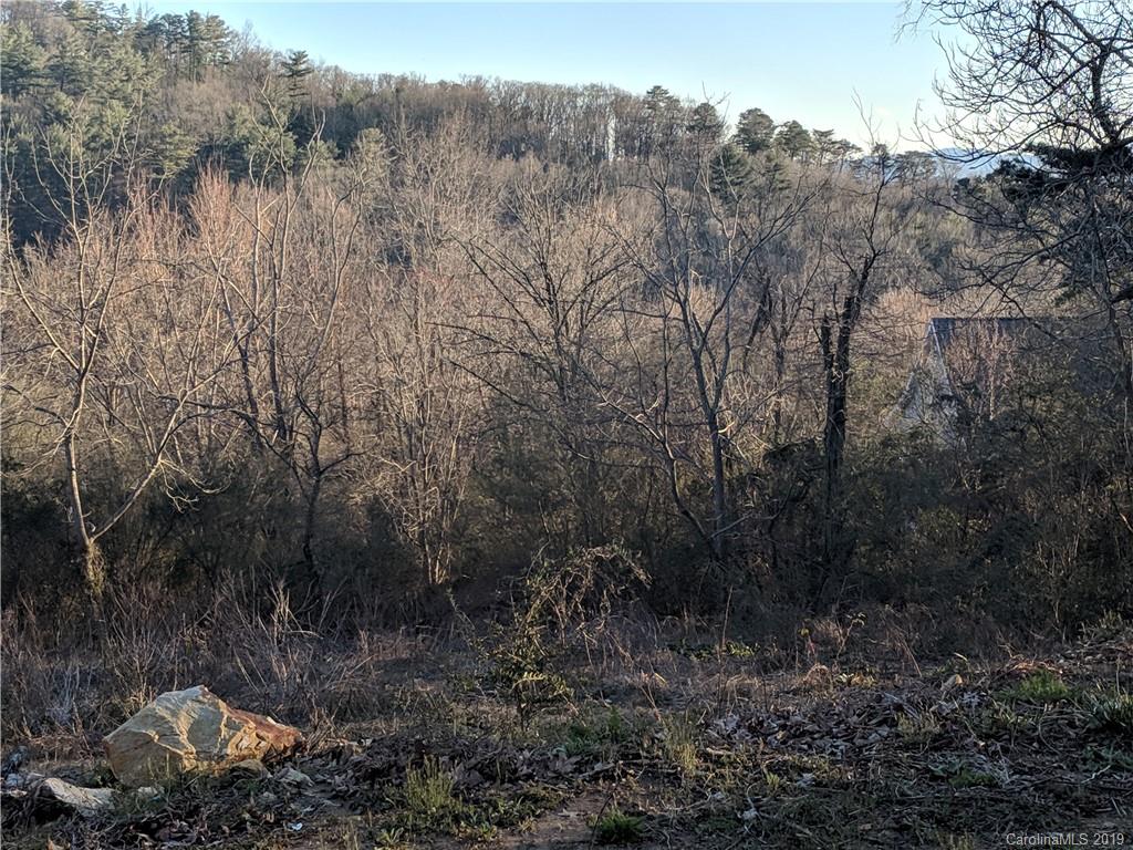140 Baird Cove Lane Asheville NC 28804
