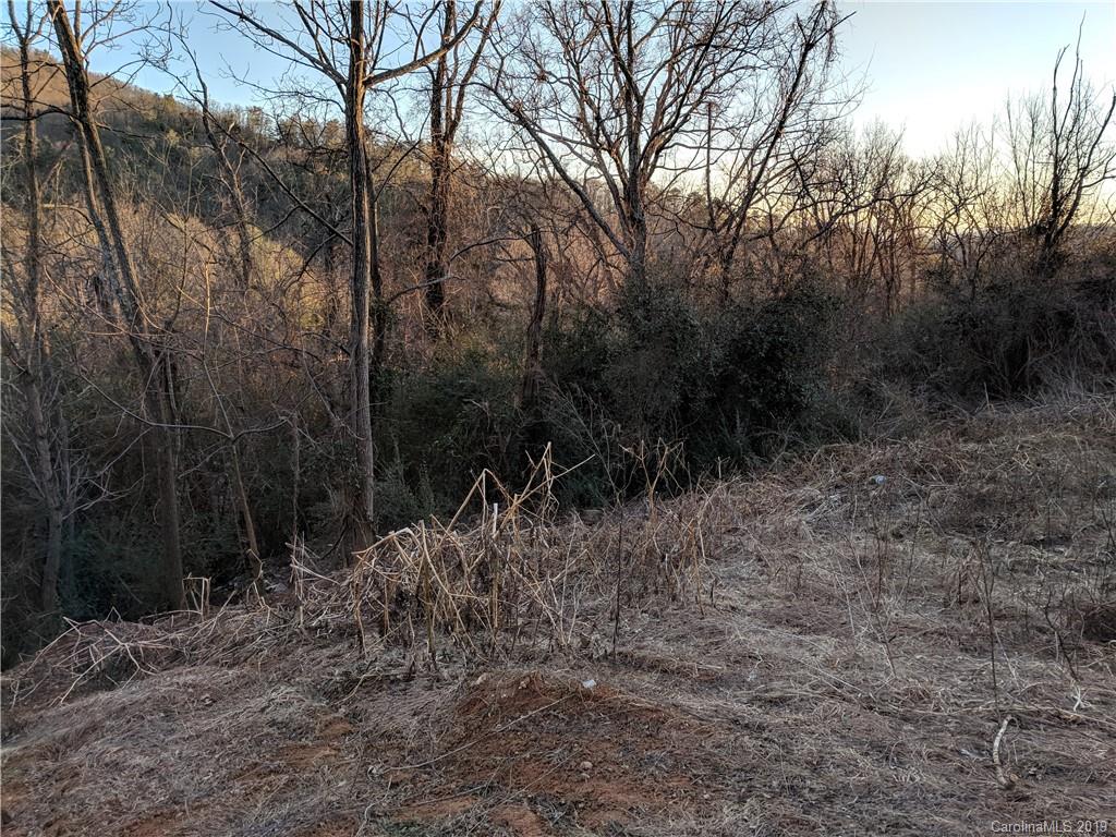 140 Baird Cove Lane Asheville NC 28804
