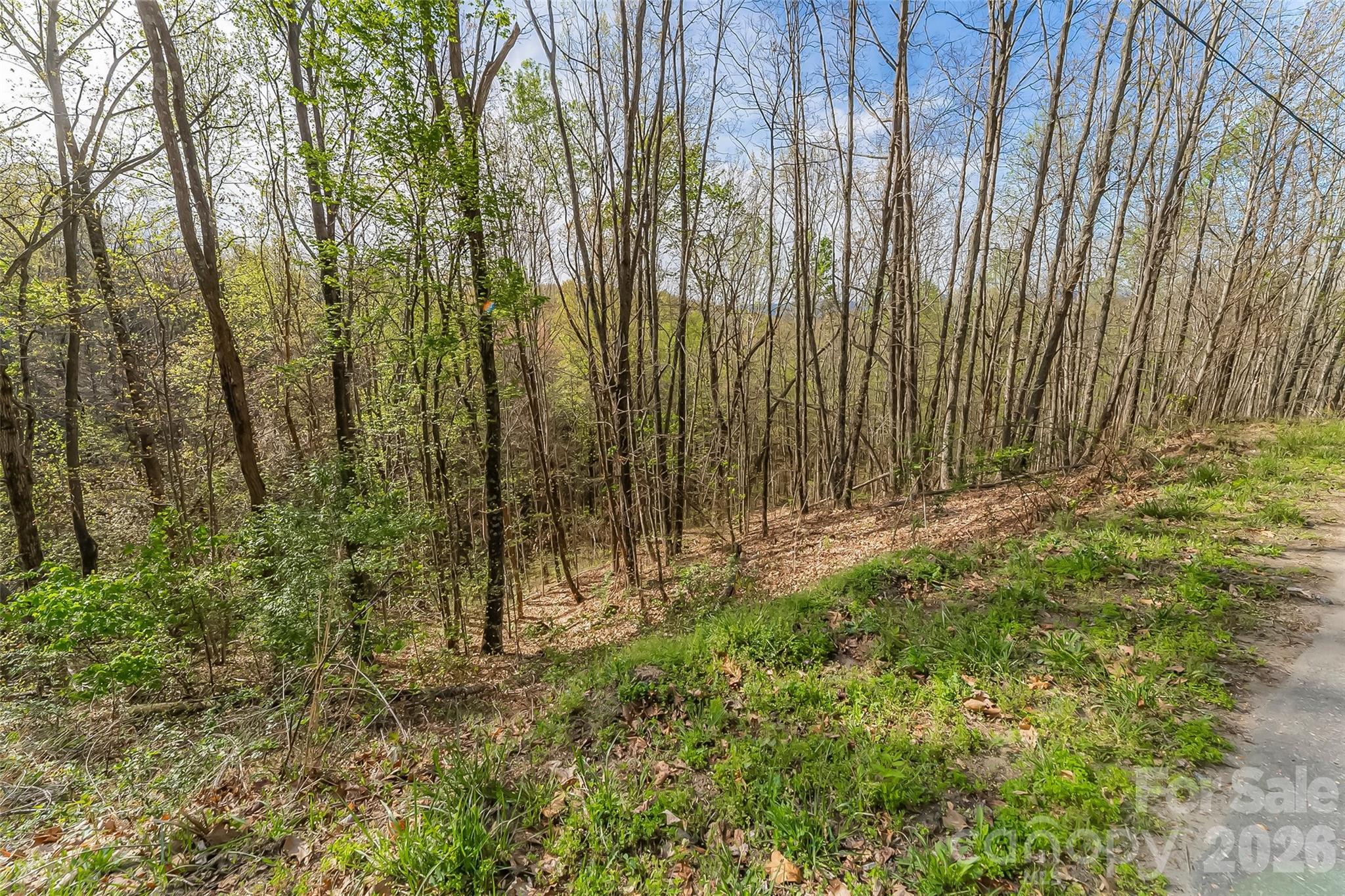 0 High Peak Mountain Road Valdese NC 28690