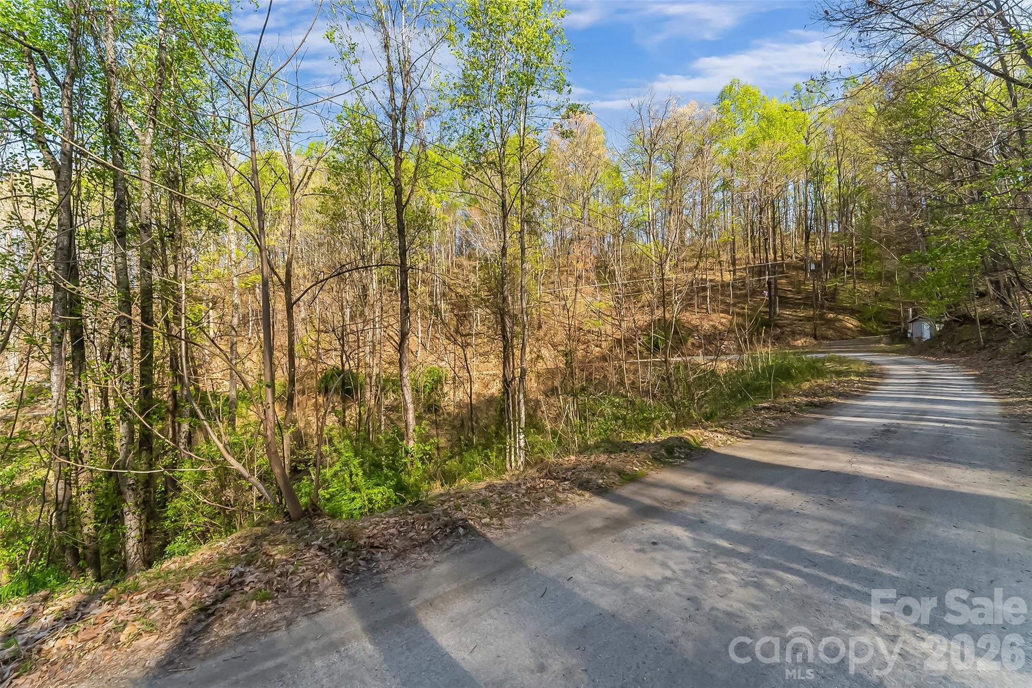 0 High Peak Mountain Road Valdese NC 28690