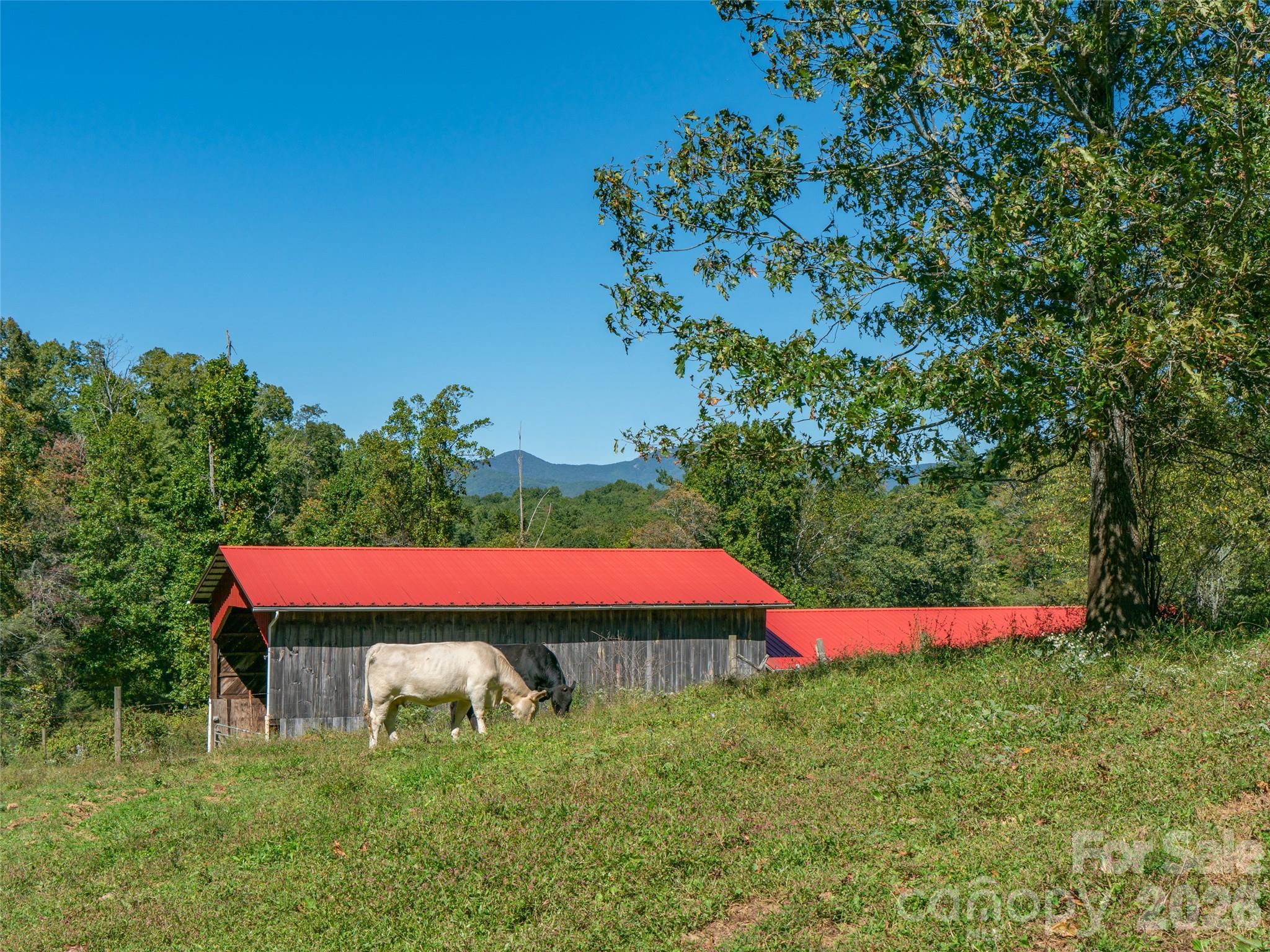 1050 Dale Road Spruce Pine NC 28777