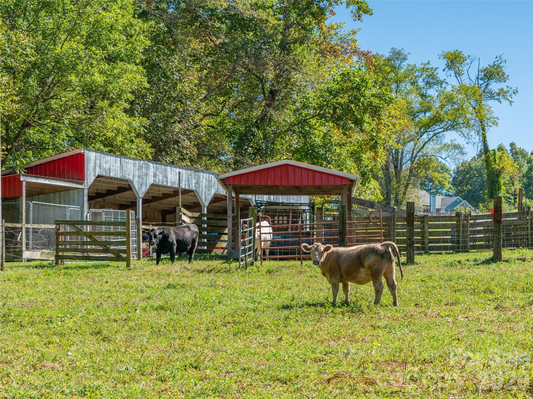 1050 Dale Road Spruce Pine NC 28777