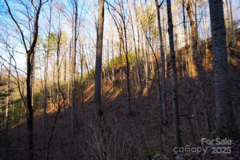 Tbd White Oak Road Waynesville NC 28785