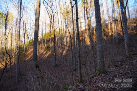 Tbd White Oak Road Waynesville NC 28785